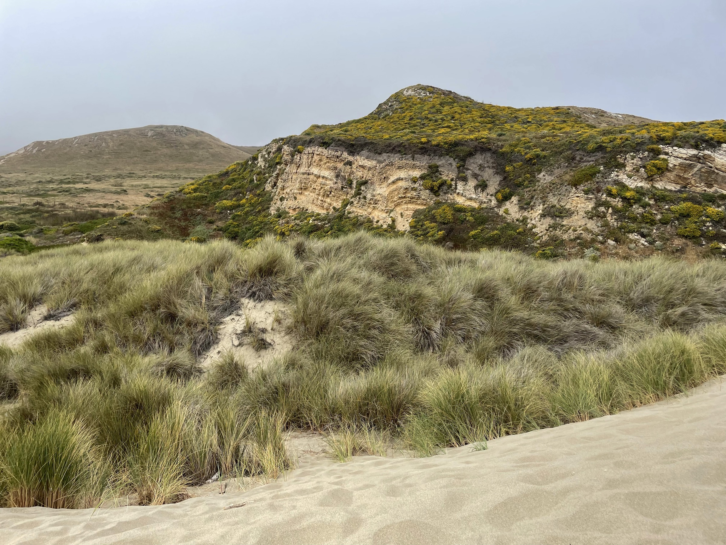 Point Reyes Is ‘Reimagining’ Its Trails, and Wants Your Input