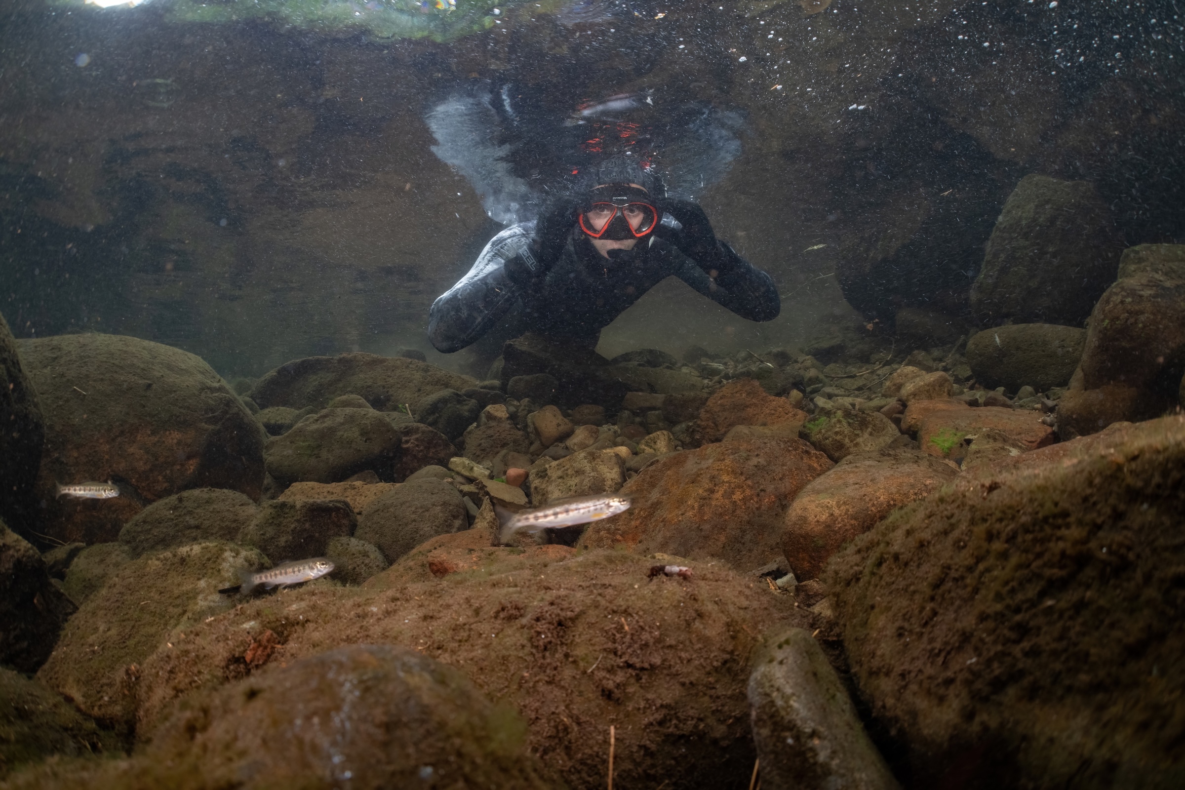 What I Learned by Fishing Without Rod, Reel, or Hook