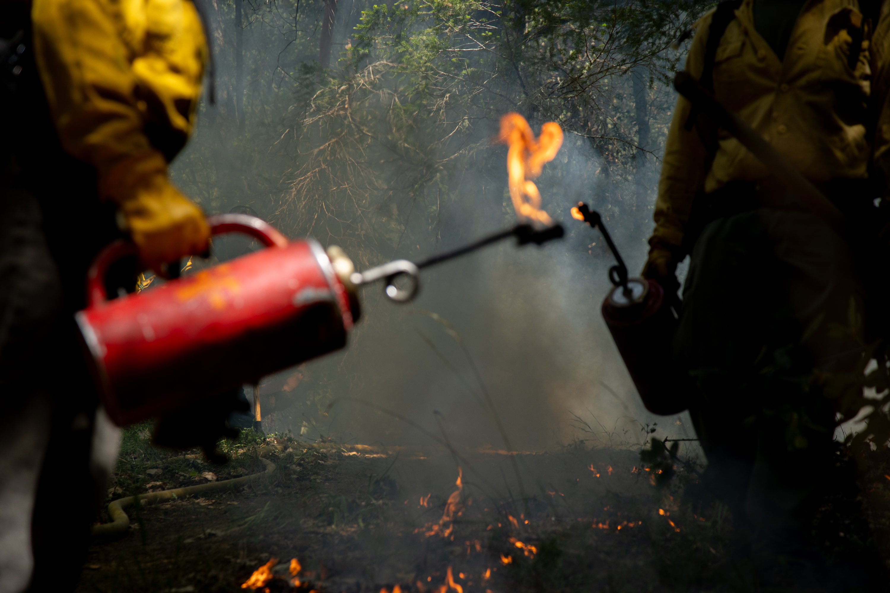A Surprisingly Chill Hang Around a (Prescribed) Fire