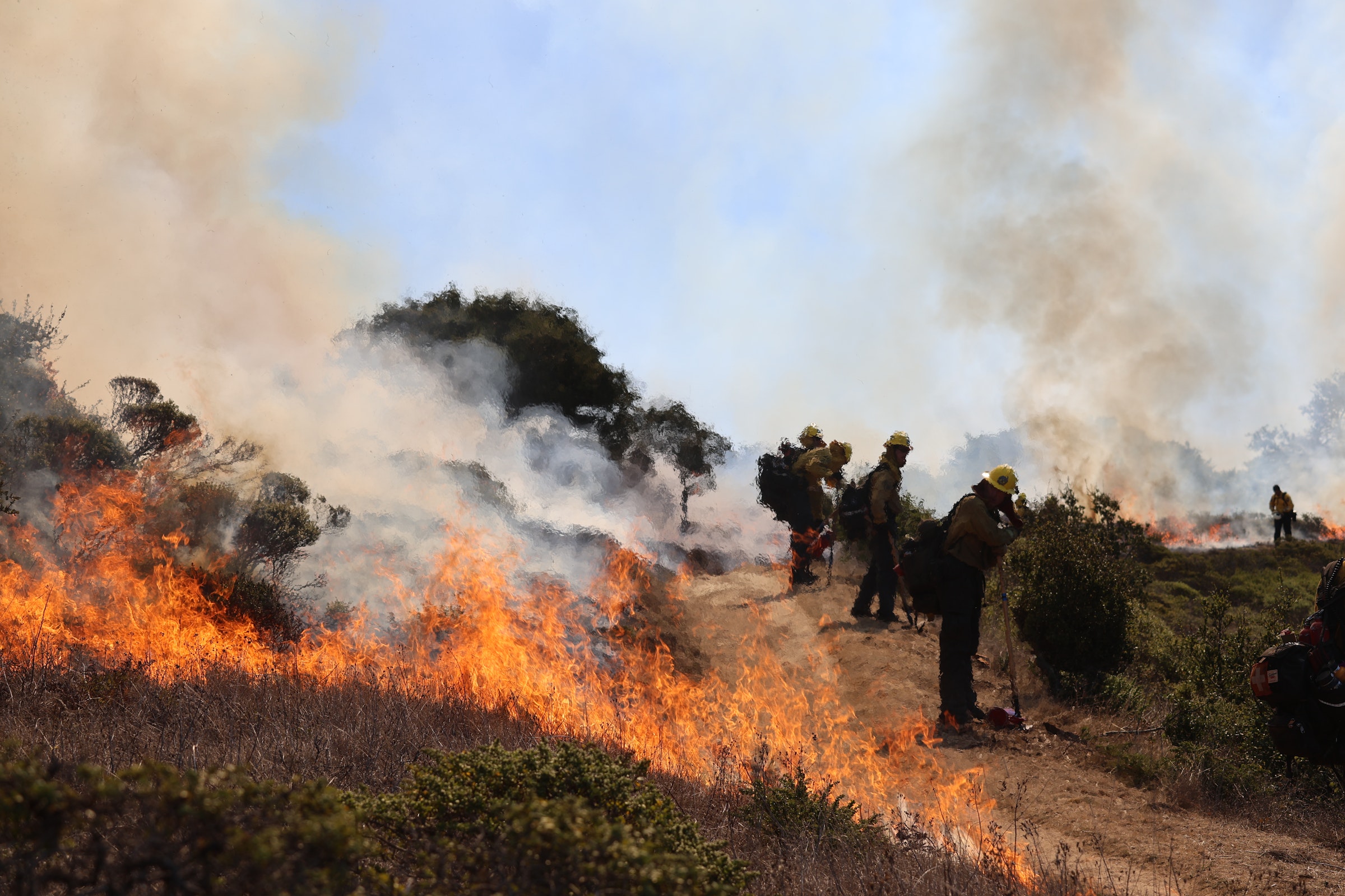 Smoke Aside, the Angel Island Fire Was a Win for the Island’s Wild Landscapes