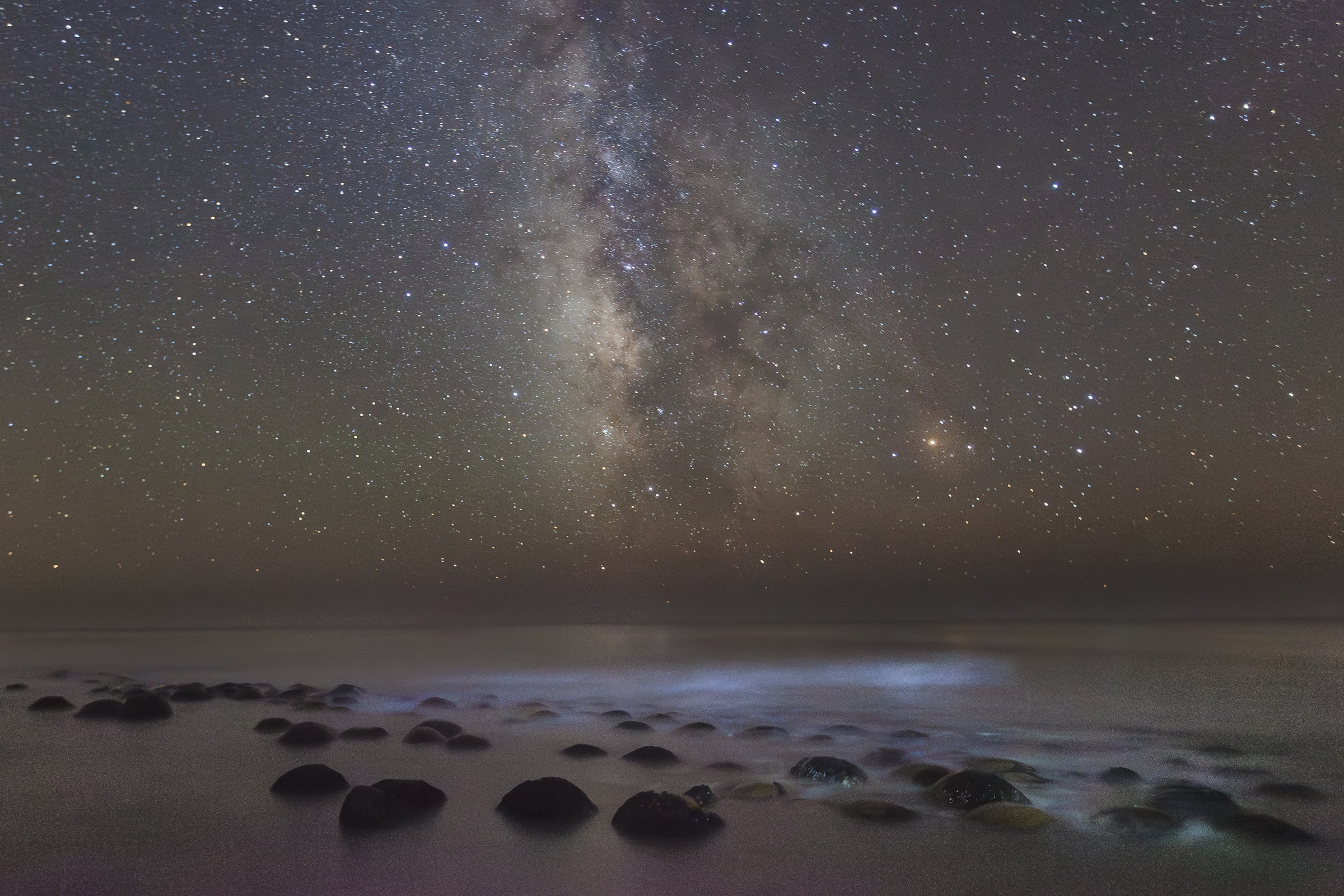 The Light and Dark of Bioluminescence in the San Francisco Bay Area