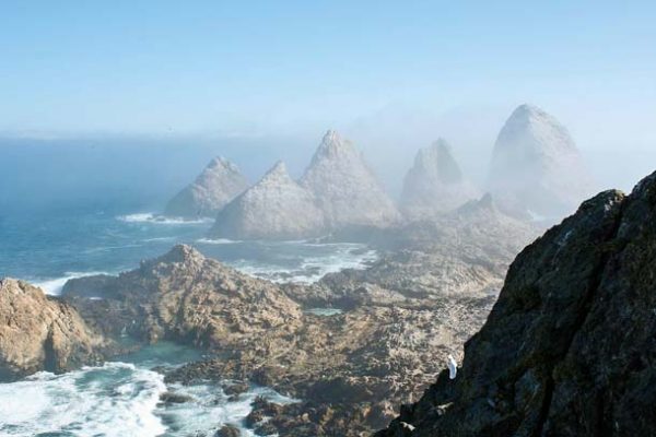View looking north from a study blind on Southeast Farallon Island,