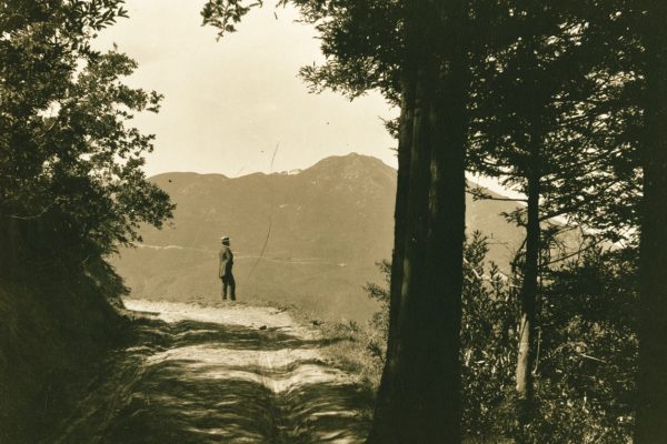 historic view of tam