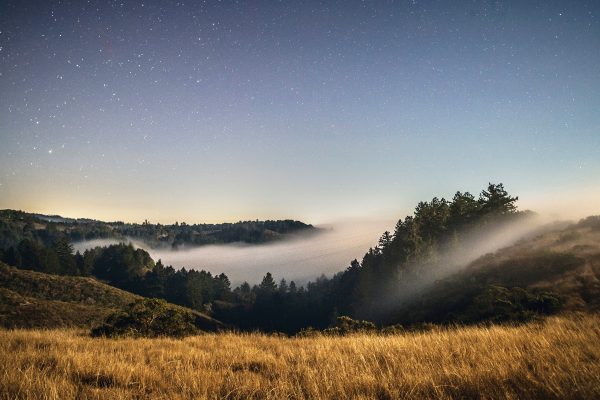 Night fog blankets the San Vicente Redwoods on an otherwise clear night. (Teddy Miller)