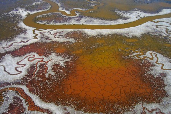 Halophilic organisms color the water at the salt ponds in the South Bay.
